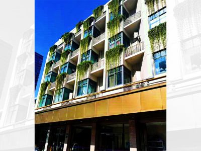 黃浦區綠化和市容管理局